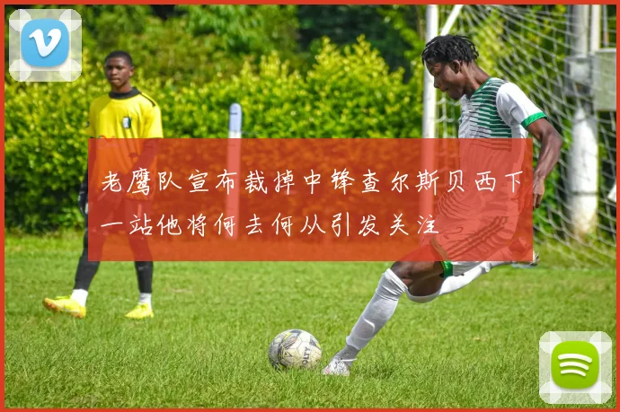 老鹰队宣布裁掉中锋查尔斯贝西下一站他将何去何从引发关注